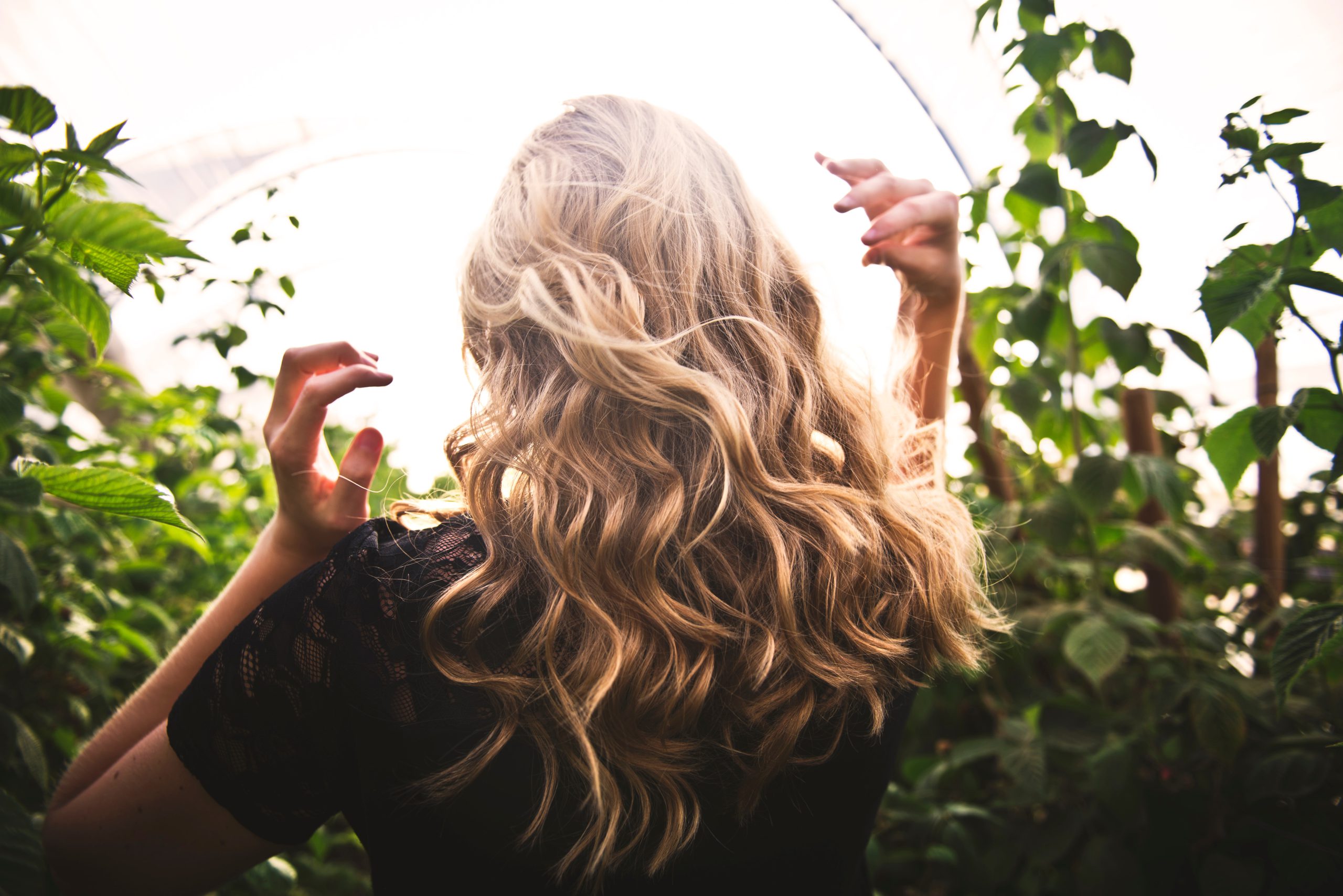 Geheimnis der schönen Haare: Leinsamen